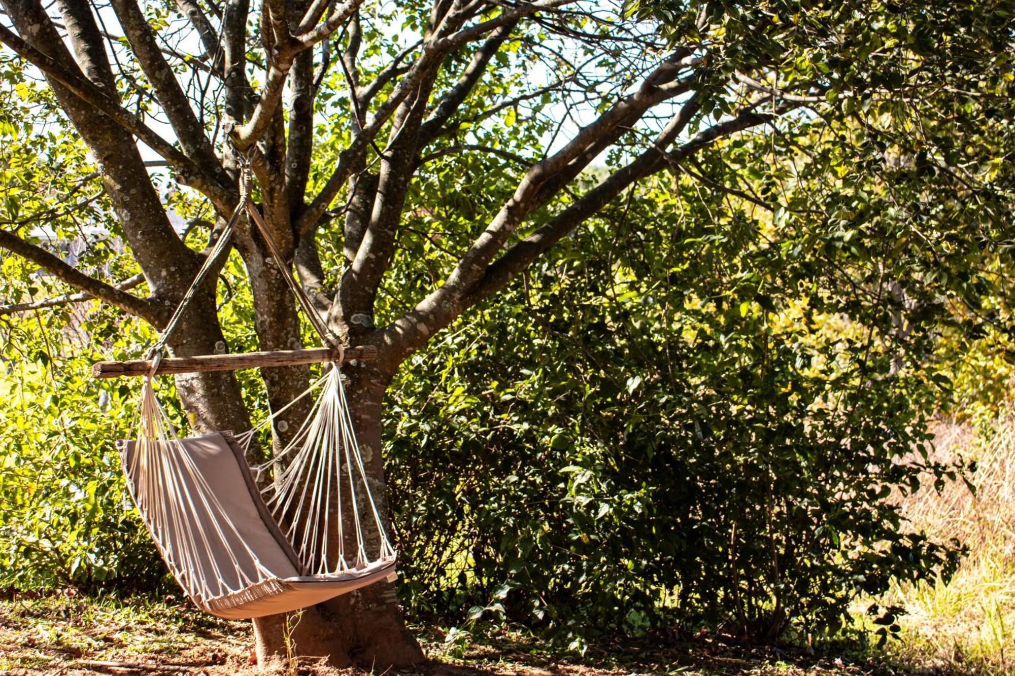 Tranquility Farmstays Winterton Dış mekan fotoğraf